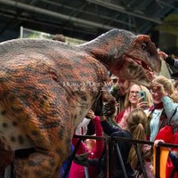 Costume de dinosaure pour adultes et enfants, T-rex animatronique, costume d'Halloween