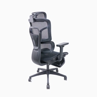 Chaise de bureau ergonomique avec support lombaire, dossier en maille haute élasticité, cadre chromé, hauteur réglable, accoudoirs pivotants, multifonction