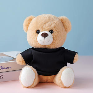 Songshan Toys Hochwertige Werbegeschenke Individuelle Hoodie-Teddybären Plüschtiere mit LOGO-Shirts für Kindergeschenke - Product Image 6