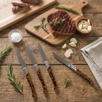 Ensemble de couteaux de table personnalisés, manche en écaille de tortue ambrée, acier inoxydable, couteaux à steak pour restaurant, boîte en bois