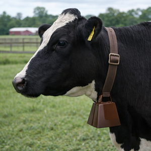 <span class=keywords><strong>Campanaccio</strong></span> in Metallo WANJIA, Campana Durevole per Bestiame, Campana di Avvertimento per Bovini e Ovini, Uso in Pascolo - Product Image 2