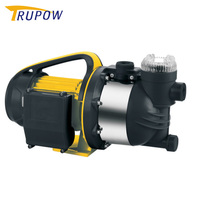 Pompe à eau de surface auto-amorçante portable 900W avec tête en acier inoxydable pour l'irrigation de jardin et le transfert d'eau