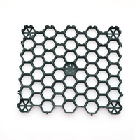 Grille d'allée Système de pavage en gravier Grille d'herbe en plastique Grille de stabilisation du sol Prix bas