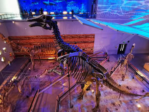 Düğün etkinlik sahne için 50W 100W LED sihirli su dalgası etkisi ışık projektör - Product Image 6