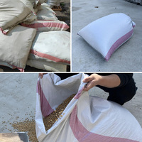 Sacs d'emballage en PP tissé blancs de 25 kg et 50 kg pour farine de blé et de maïs, sacs d'alimentation animale, sacs de riz et d'engrais pour l'agriculture (riz, maïs)