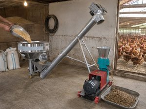 Ligne complète de production de granulés d'aliments pour animaux 500kg 1000kg par heure Mélangeur Élévateur Granulateur Traitement des aliments pour petites exploitations agricoles - Product Image 4
