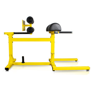 Bft tập thể dục thiết bị phòng tập thể dục có thể điều chỉnh gân kheo trở lại băng ghế dự bị ngang Roman ghế máy - Product Image 3