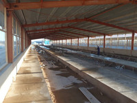 Usine de structure en acier préfabriquée à faible coût en Chine, usine préfabriquée, usine métallique