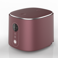Cuisinière à riz électrique HY 3L avec revêtement antiadhésif, cuisson saine en une seule touche, maintien au chaud automatique, puissance 600W