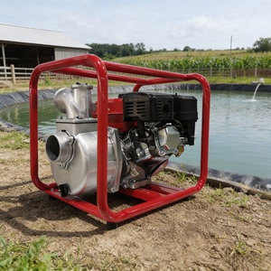 Pompe à eau domestique avec commande de sécurité, sortie stable, haute efficacité, performance fiable pour l'alimentation en eau quotidienne RJP40 - Product Image 2