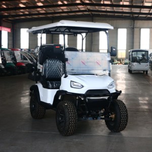 Carrito de Golf de Lujo de 4 Plazas con Batería de 48v/72v, Mini Carrito de Golf con Diseño de Lujo, Se Acepta Personalización - Product Image 4