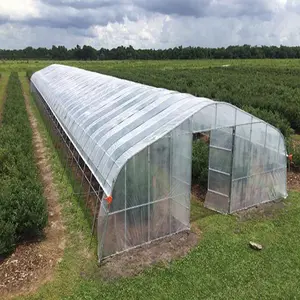 Commercial Industrial Plastic Agricultural Tunnel Greenhouses Plant Tomato
