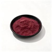 Zwarte bessen extract anthocyanen 5%-25% natuurlijk zwartbessen fruit extract poeder voedingssupplement grondstof