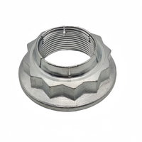 Carbon Steel Hex Nut Fastener with Zinc Plated Finish for Automobile Use