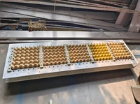 Machine de fabrication de barquettes à œufs en plastique/aluminium pour 30 œufs, prix usine, ligne de production de boîtes à œufs en pâte à papier à 4 côtés