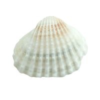 KI Haihe Accessoires de fleurs tridimensionnelles naturelles et coquillages pour la décoration de boîtes à poissons DIY faits à la main