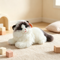 Peluche réaliste chat à poils longs, animal en peluche en gros, coton PP, en stock, OEM personnalisé, cadeau pour enfants