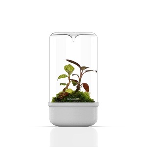 Terrarium en verre Bioloark - <span class=keywords><strong>Aquarium</strong></span> miniature de bureau pour la décoration du salon Noir/Blanc MH-80/100/120 - Product Image 4