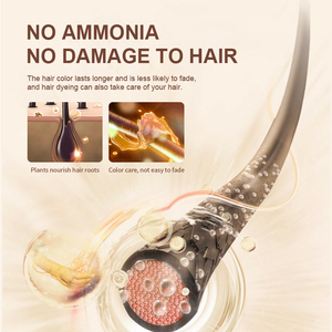 Venta al por mayor 250ml Ginseng sin amoníaco 5 en 1 champú para teñir el cabello permanente tinte para el cabello 5 minutos para colorear 100% que cubre el cabello blanco - Product Image 5