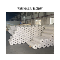 Film DTF à séchage rapide haute température 100gsm/120gsm en rouleau 30cm/60cm/120cm*100m Blanc Facile à découper Facile à appliquer sur textiles 3T
