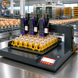 Imprimante automatique d'œufs, machine d'impression d'œufs pour le codage de la date et le marquage par lots sur les œufs frais - Product Image 1