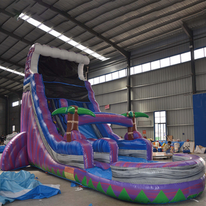 New Arrival trượt nước nhà bị trả lại nhà máy trực tiếp giá - Product Image 2