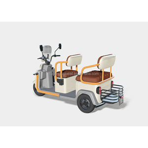 YINGWU Fabricant Trois Roues Vélo Électrique <span class=keywords><strong>Danois</strong></span> <span class=keywords><strong>Cargo</strong></span> Tricycle De Golf pour Adultes - Product Image 2