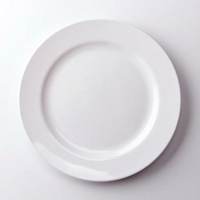 Assiette ronde en mélamine blanche, plat de service peu profond pour buffet, steak, fruits, collations, pique-nique, usage hôtelier