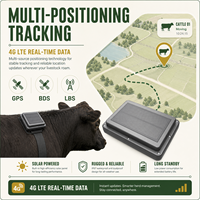 Traceur GPS solaire 4G pour bétail, bovins, vaches, moutons, chèvres, chevaux avec clôture virtuelle