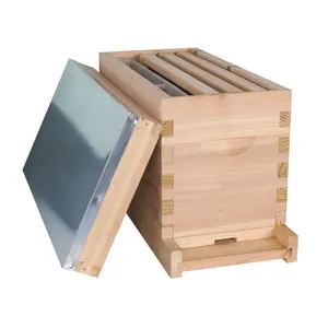 5 Frames Wooden Langstroth Nucleus Beehive Mini Nuc Bee Box