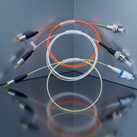 Module de diode laser à fibre optique Shengshi 1064nm pour application médicale, puissance 1mW-10mW, emballage 3PIN, certifié ROHS ISO9001