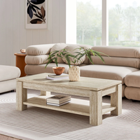 MEUBLES JIAMEIJIA |   Table basse carrée avec étagère de rangement ouverte