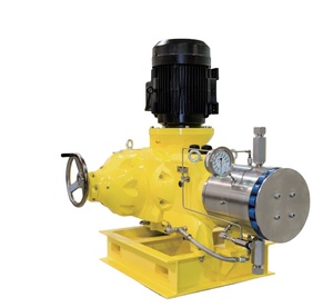 Pompe doseuse hydraulique à diaphragme Roy Primeroyal X Series haute performance 100 % originale et authentique avec membrane PTFE - Product Image 1