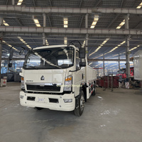 Chinois 2023 nouveau Offre Spéciale Sinotruk Howo nouveau van camion 4x2 mini 3-5 tonnes petit camion de fret léger