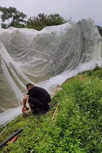 La mejor <span class=keywords><strong>venta</strong></span>, larga vida útil, Red a prueba de insectos agrícolas, red antiinsectos para casas verdes - Product Image 5