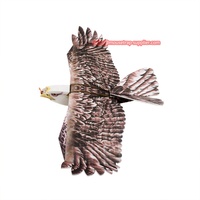 Répulsif d'Oiseaux en Plastique Écologique en Forme de Faucon pour Jardin Extérieur