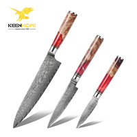 Coffret de 3 couteaux de cuisine professionnels japonais KEENHOPE en acier Damas, 67 couches, cœur VG10, manche en résine de placage d'érable