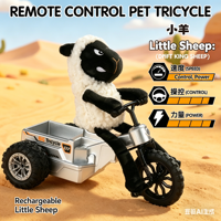 Tricycle télécommandé 4 canaux DWI Dowellin Crazy Lamb, design mouton en peluche, lumières LED, chargeur de batterie au lithium, intérieur-extérieur