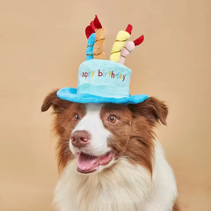 Nuevo Sombrero de Cumpleaños para Perro con Forma de Pastel, Lindo Gorro de Pastel Azul y Rosa para Mascotas, Decoración para Fiestas - Product Image 3