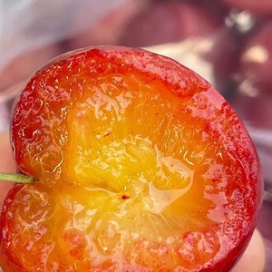 Ciliegia dolce cilena fresca importata prugna 5J pura dolcezza in ogni boccone - Product Image 2