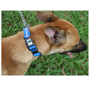 समायोज्य चिंतनशील pvc कुत्ते प्रशिक्षण लेश स्टेनलेस लूप पंड नायलॉन आधा चोक श्रृंखला ठोस धातु रिबन प्रतिबिंबित पालतू - Product Image 4