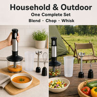 Ensemble de mixeur à main sans fil rechargeable, 2 vitesses, mixeur électrique portable, fouet en acier inoxydable pour la préparation des aliments en cuisine