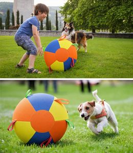 Nuevo Balón de Pastoreo 2026 para Perros con Asa, Juguete Interactivo Antimordiscos de Tela Oxford 900D para Entrenamiento y Ejercicio al Aire Libre - Product Image 4