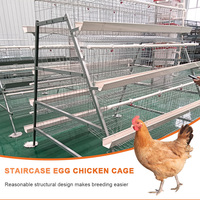 Cage à poules pondeuses de type A pour 160 oiseaux, cage à batterie pour volailles, en acier galvanisé, nouvelle utilisation domestique, équipement d'élevage automatique