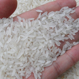 Máquina Extrusora de Arroz Artificial Nutritivo Totalmente Automática, Línea de Producción de Arroz Fortificado de 300 kg, Motor de Polvo, Acero Inoxidable 304, Alta Potencia, 380 V - Product Image 6