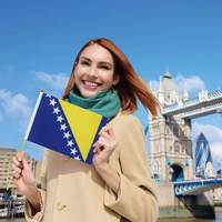 Drapeau Fanion Agitable de 14*21cm de la Bosnie-Herzégovine avec Tige en Bois – Vente Chaude dans le Monde Entier