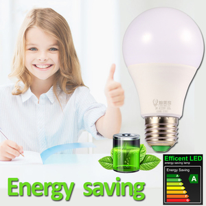 หลอดไฟ LED ราคาถูก ขายส่ง หลอดไฟ LED ขนาดเล็กจิ๋วจากจีน หลอดไฟ LED 3 วัตต์/หลอดไฟ LED พร้อมขั้วหลอด E27/B22 - Product Image 6