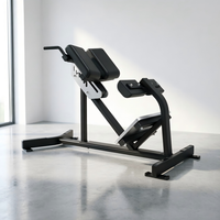 Banc d'hyperextension à 45 degrés pour club de gym, appareil commercial d'extension dorsale pour exercices du bas du dos