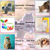 Oimmal 60mL Vitamines Liquides Compléments Alimentaires 15 En 1 Gouttes Multivitamines pour Chats Peau Manteau Santé Cardiaque