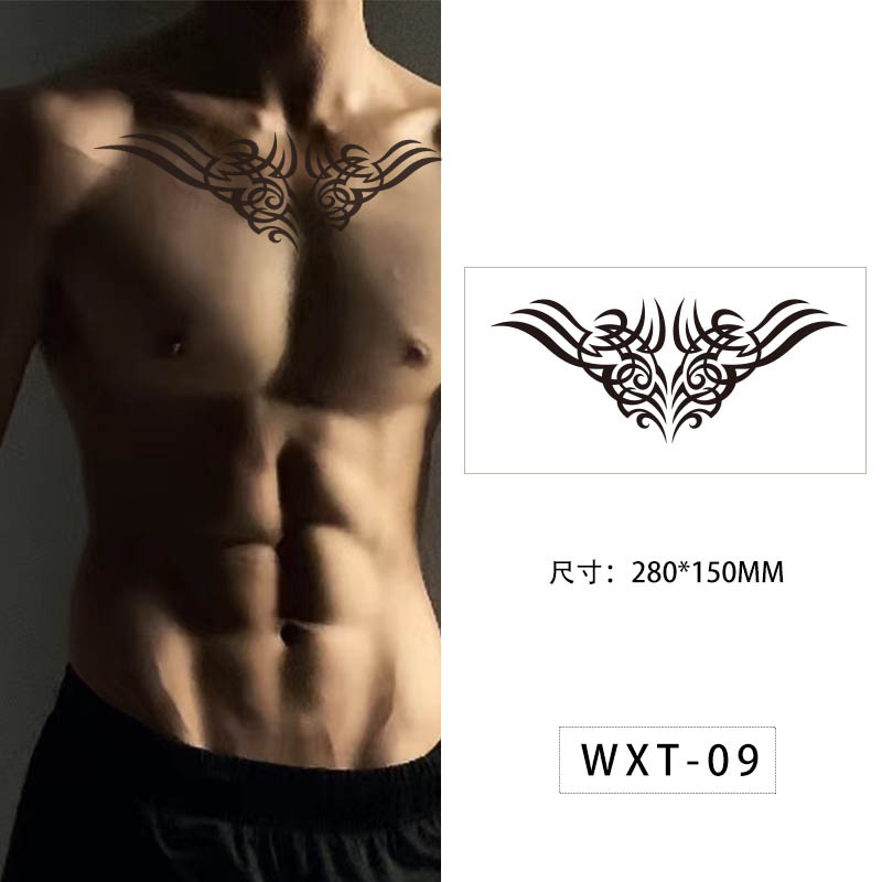 WXT-009    ดับบลิวเอ็กซ์ที-009